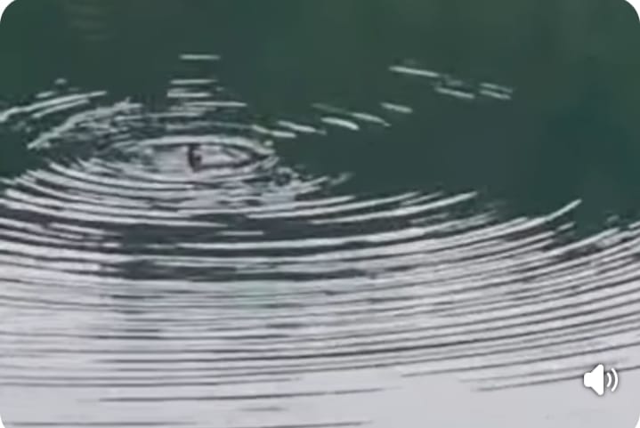 दो दिनों से तालाब में घुसी महिला पुलिस को कर रही 'राम-राम', बचाव दल की टीमें जुटीं