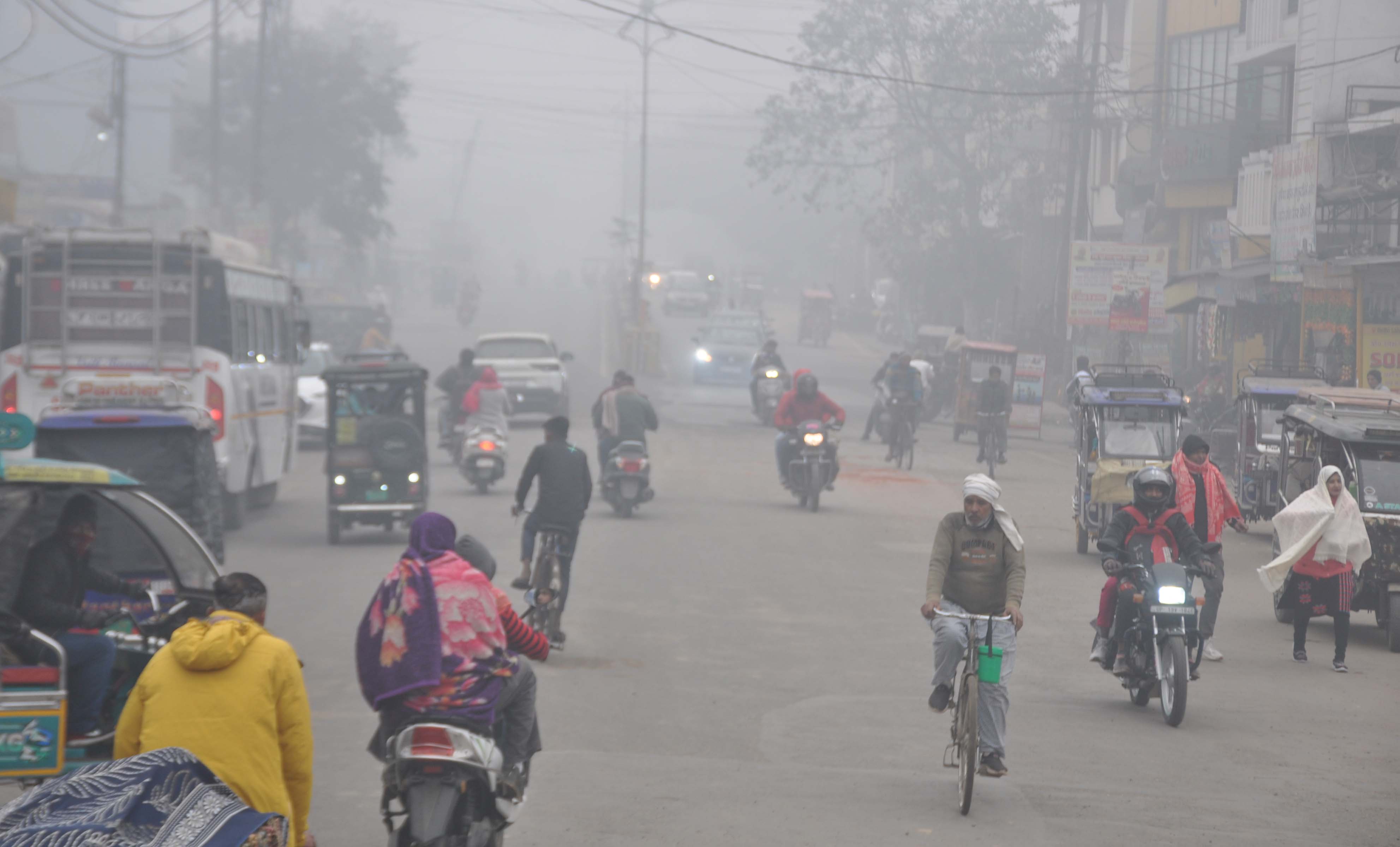 शामली में कोहरा और कड़ाके की ठंड से आम जनजीवन प्रभावित