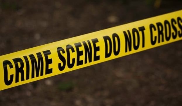 शिमला में नवजात शिशु का शव मिला, कुत्तों ने नोचा, पुलिस जांच में जुटी