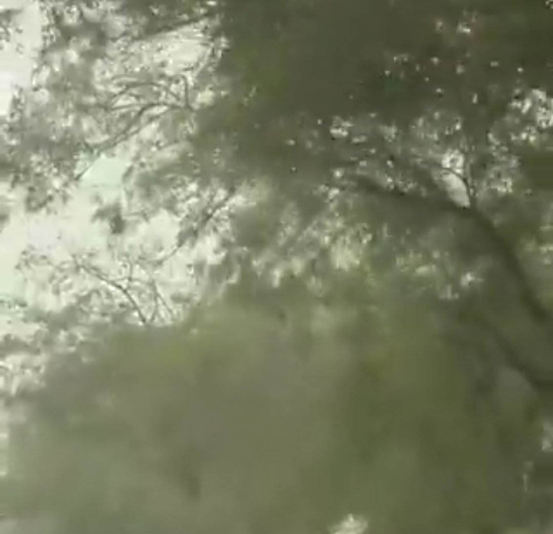 उप्र का नाेएडा तीसरे दिन भी रहा देश का सर्वाधिक प्रदूषित शहर... एक्यूआई 416 दर्ज की गई