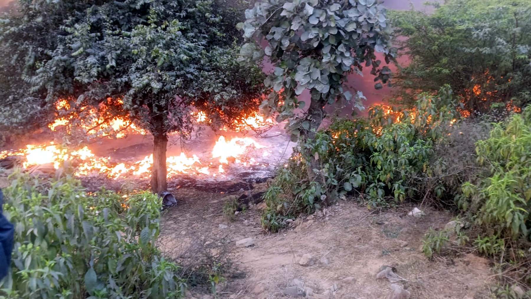 गुरुग्राम के बार गुर्जर में फिर भड़की आग, औद्योगिक कचरे में लगी आग