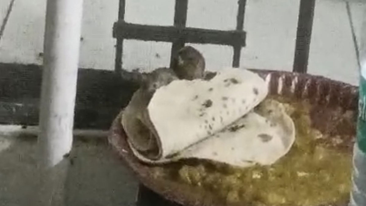 बिजनौर मेडिकल अस्पताल में लापरवाही: वायरल वीडियो में मरीजों का खाना चूहों ने चट किया, डीएम ने तलब किए अधिकारी