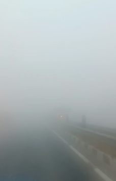 शामली में घना कोहरा: हाईवे और शहर में यातायात प्रभावित