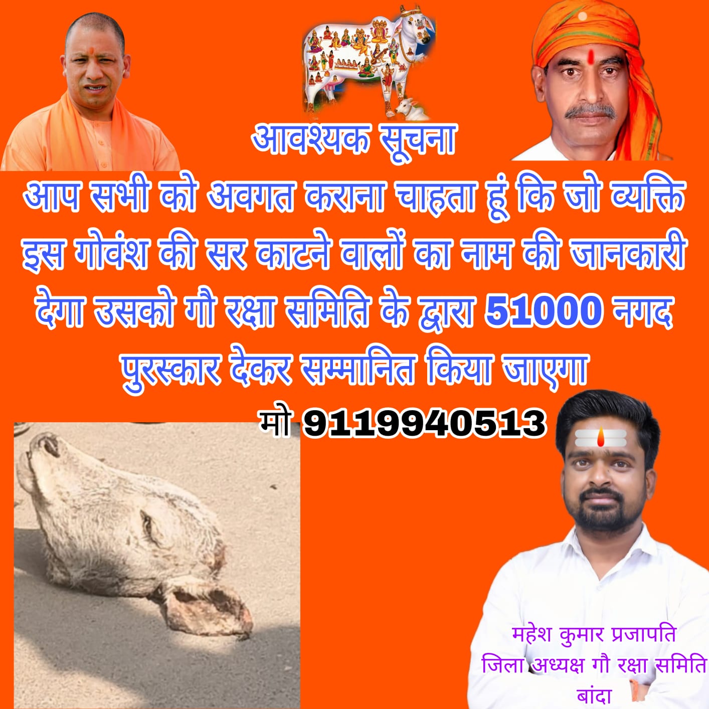 गोवंश का कटा सिर मिलने का मामला: आरोपित की जानकारी देने पर 51 हजार इनाम घोषित