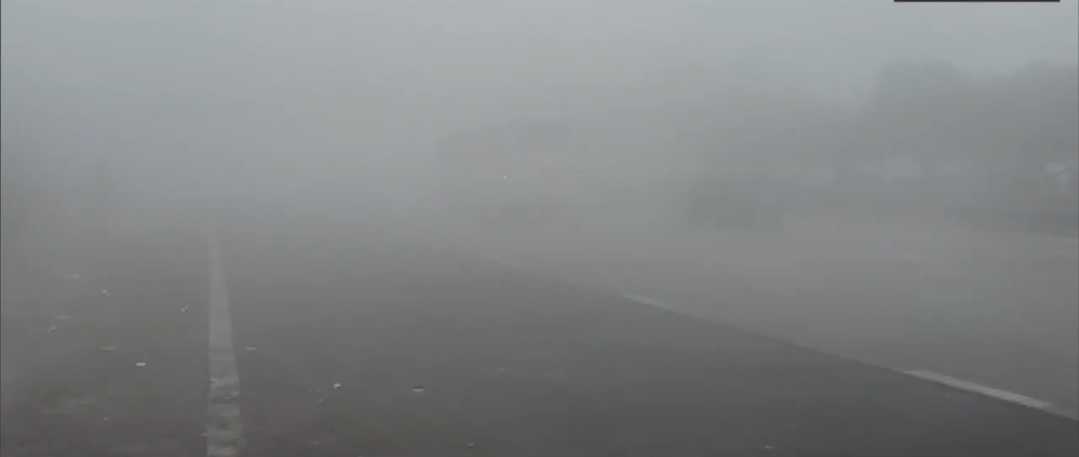 नोएडा: धुंध की चादर में लिपटा शहर, एक्सप्रेसवे समेत प्रमुख मार्गों पर रेंगते नजर आए वाहन,दृश्यता रही काफी कम