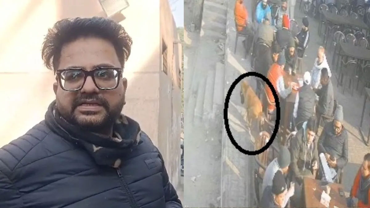 चाय पीते-पीते गिरा पर्स… और सड़क का शातिर कुत्ता उठा ले भागा: दो घंटे की खोज के बाद मिला बेशकीमती सामान