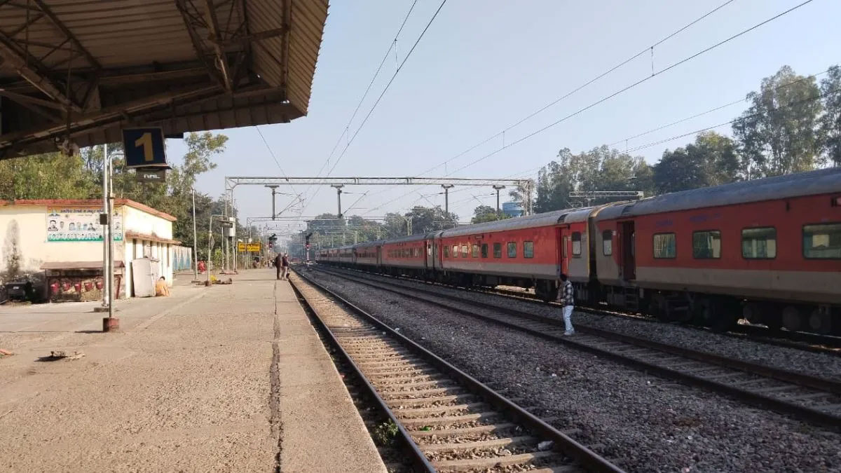 हावड़ा एक्सप्रेस की चपेट में आया शिशु हाथी, 38 साल में 33 जानें ले चुका ये ट्रैक