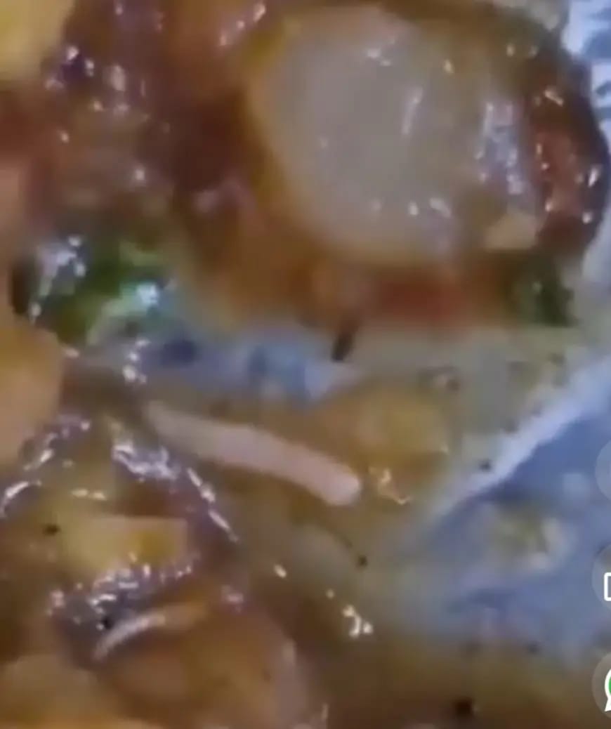 ग्रेटर नोएडा की नामी यूनिवर्सिटी के मेस से कीड़े वाला खाना परोसने का आरोप, छात्रों ने वायरल किया वीडियो 