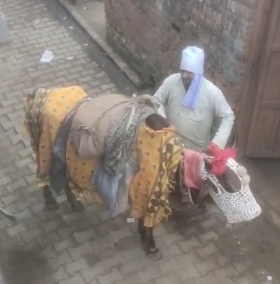 अमरोहा में नाम बदलकर नंदी के साथ भीख मांग रहा था युवक, ग्रामीणों के शक ने खोला राज