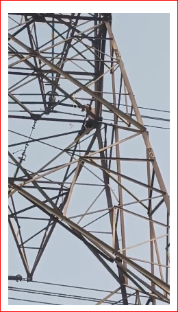 नोएडा: नाकाम आशिक हाई टेंशन टावर पर चढ़ा, पुलिस ने तीन घंटे बाद बचाया