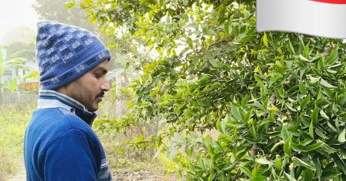 ग्राफ्टिंग तकनीक से बनी बनारसी M बेल बदल रही किसानों की किस्मत कम लागत में शानदार कमाई