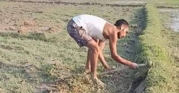 दिसंबर जनवरी में खेत की मेढ़ पर फलदार पौधे लगाएं और बनाएं सालों तक चलने वाली स्थायी कमाई