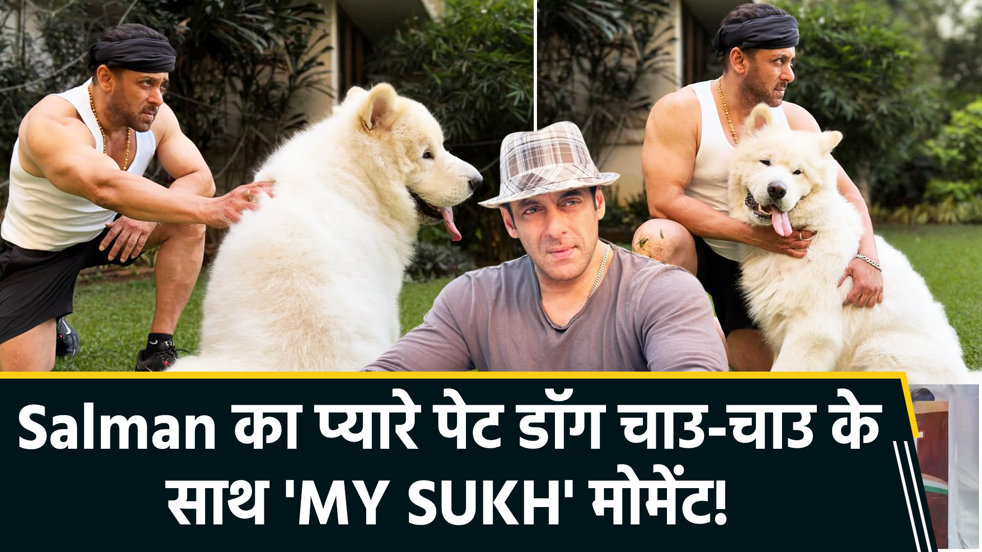 सलमान खान ने अपने पेट डॉग 'चाउ-चाउ' के साथ बिताए खास पल, सोशल मीडिया पर वायरल हुईं प्यारी झलकियां