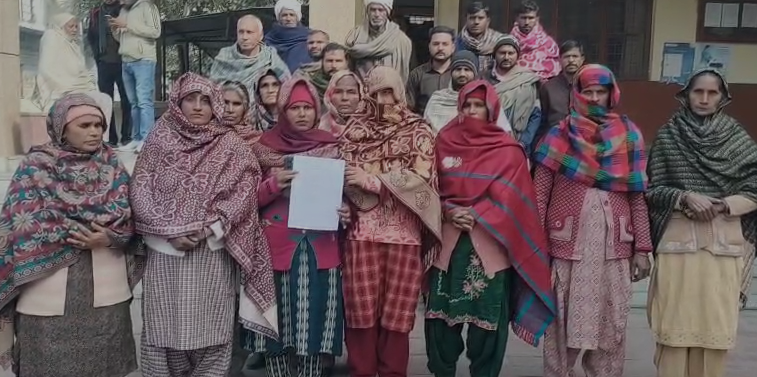 शामली में आवारा कुत्तों के हमले से 132 भेड़ों की मौत, पशुपालक ने कलेक्ट्रेट पहुंचकर मुआवजे की मांग की