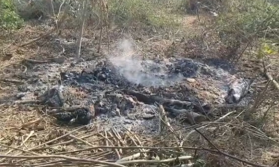 कासगंज में 'ऑनर किलिंग' से सनसनी: प्रेमी संग लौटी किशोरी की हत्या कर शव जलाया, पुलिस ने जलती चिता बुझाकर निकाले अवशेष