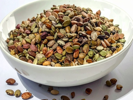 सर्दियों में औषधि की तरह है कुलथी की दाल, शरीर को देती है अनगिनत लाभ