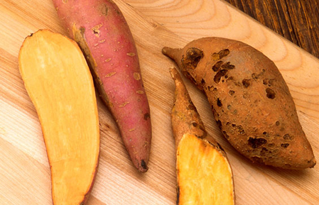 शकरकंद : सर्दियों में सेहत की सबसे मीठी ढाल, आंखों से लेकर इम्यूनिटी तक का रखे ख्याल 