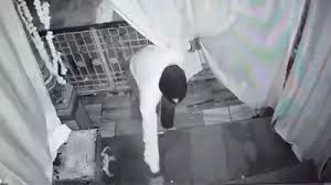 मंदिर में चोर की 'अनोखी' भक्ति; पहले माता के पैर छुए, फिर गहने और दानपात्र लेकर हुआ फरार