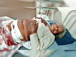 मेरठ में आवारा गाय के हमले से वृद्धा की मौत, ग्रामीणों में आक्रोश