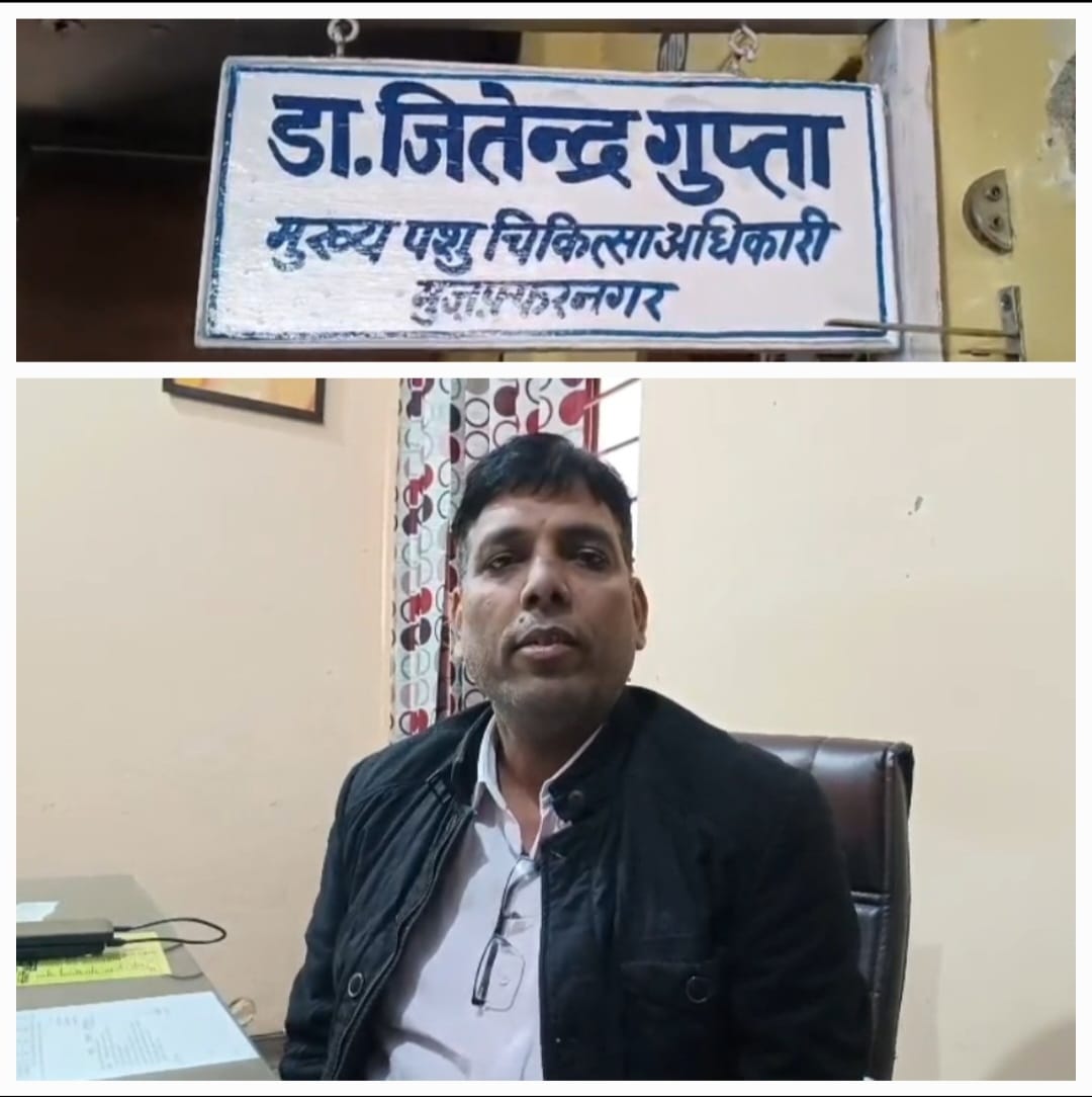 खुरपका-मुंहपका रोग के खिलाफ बड़ा अभियान: 22 जनवरी से मुजफ्फरनगर में 6 लाख दुधारू पशुओं का होगा टीकाकरण