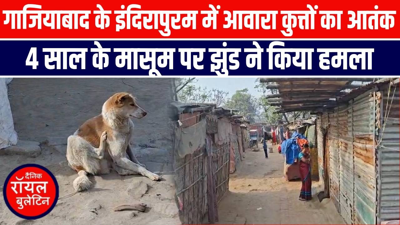गाजियाबाद के इंदिरापुरम में आवारा कुत्तों का आतंक, 4 साल के मासूम पर झुंड ने किया हमला