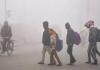 उप्र राहत विभाग ने शीतलहर एवं घने कोहरे को लेकर 12.52 करोड़ लोगों को भेजा मौसम का अलर्ट
