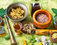 आयुर्वेद दिवस: राष्ट्रीय पर्व से विश्व स्वास्थ्य आंदोलन तक का सफर - सीएसआईआर-एनआईएससीपीआर