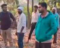 शामली में आम के बाग में पेड़ से लटका मिला अज्ञात व्यक्ति का शव, पुलिस जांच में जुटी