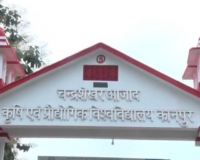 कानपुर में 