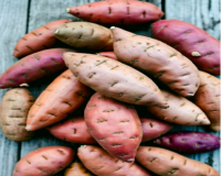 सर्दियों में शकरकंद खाने के अद्भुत फायदे: रोग प्रतिरोधक क्षमता से लेकर दिल की सेहत तक