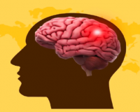 विश्व स्ट्रोक दिवस पर जानिए—योग और सही जीवनशैली से कैसे करें ब्रेन स्ट्रोक से बचाव