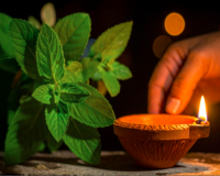 आंवला नवमी 2025: व्रत की तिथि, शुभ मुहूर्त, पूजन विधि और धार्मिक महत्व