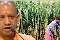 गन्ना मूल्य वृृद्धि पर भड़के मेरठ के किसान, बोनस की मांग तेज