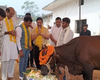 मुजफ्फरनगर में धूमधाम से मनाई गई गोपाष्टमी, गौसेवकों ने की गौ माता की पूजा-अर्चना