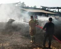 देवबंद में गन्ना कोल्हू में पड़ी पत्ती में लगी भीषण आग, दमकलकर्मियों ने मशक्कत के बाद पाया काबू