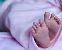 शामली: भ्रूण हत्या कर नवजात को झाड़ियों में फेंका, लोगों ने शव दफन किया