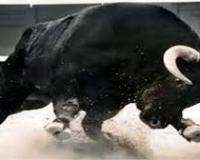 शामली में बहन की शादी की तैयारियों के दौरान युवक पर आवारा सांड ने किया हमला, गंभीर घायल