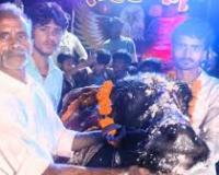 भैंसा बना स्टार! गांव में मना जन्मदिन! डीजे, केक और दावत के साथ सेलिब्रेशन