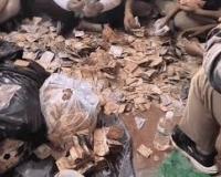 फिजिक्स टीचर निकला गांजा तस्कर: प्रतापगढ़ में 2 करोड़ का गांजा जब्त, मां बोली- बड़े बेटे ने फंसाया