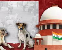 सुप्रीम कोर्ट के कुत्ता हटाओ आदेश पर देशव्यापी बहस: यूथ कांग्रेस बोली- बेजुबानों की आवाज बनकर लड़ेंगे, यह फैसला वैज्ञानिक और कानूनी रूप से गलत