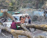 नैनीताल में तेज हवा ने गिराया विशाल पेड़, तीन वाहन क्षतिग्रस्त, बिजली और यातायात बाधित, वन विभाग और अग्निशमन दल ने तुरंत किया राहत कार्य