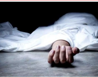 ग्रेटर नोएडा में मिक्सर ट्रक बिजली के पोल से टकराया, चालक की मौत