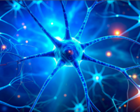 डार्क चॉकलेट और बेरीज से याददाश्त बढ़ेगी, तनाव घटेगा — जापानी शोध में बड़ा खुलासा