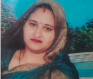 गाज़ियाबाद में बंदरों का आतंक: दीवार गिरने से महिला की मौत, कई घायल