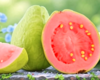 सर्दियों में अमरूद खाने के अद्भुत फायदे: दिल रहेगा मजबूत, शुगर और वजन रहेगा कंट्रोल