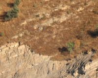 केन्या में भीषण भूस्खलन: 21 की मौत, 30 से अधिक लापता, राहत और बचाव कार्य जारी