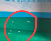 मेरठ–लखनऊ वंदे भारत ट्रेन: खाने की ट्रे में कीड़े, यात्री ने सोशल मीडिया पर शेयर किया VIDEO