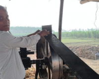 मुजफ्फरनगर: वायु प्रदूषण नियंत्रण के लिए छह कोल्हुओं को सील, संचालकों पर जुर्माना