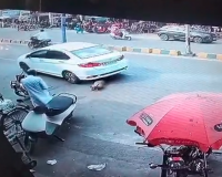 शामली: सड़क पर लेटे बेजुबान कुत्ते को कार ने रौंदा, CCTV में कैद हुई दर्दनाक घटना