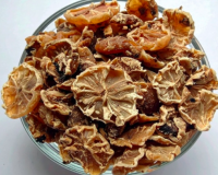 कपूर कचरी: बाल झड़ने और सफेद होने से रोकने का आयुर्वेदिक उपाय